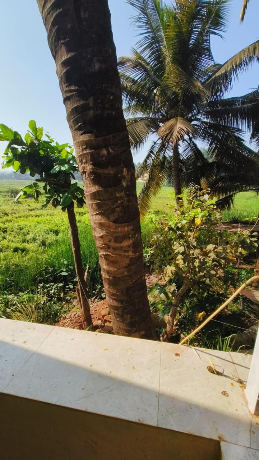 Hotel Green Field View Candolim Esterno foto
