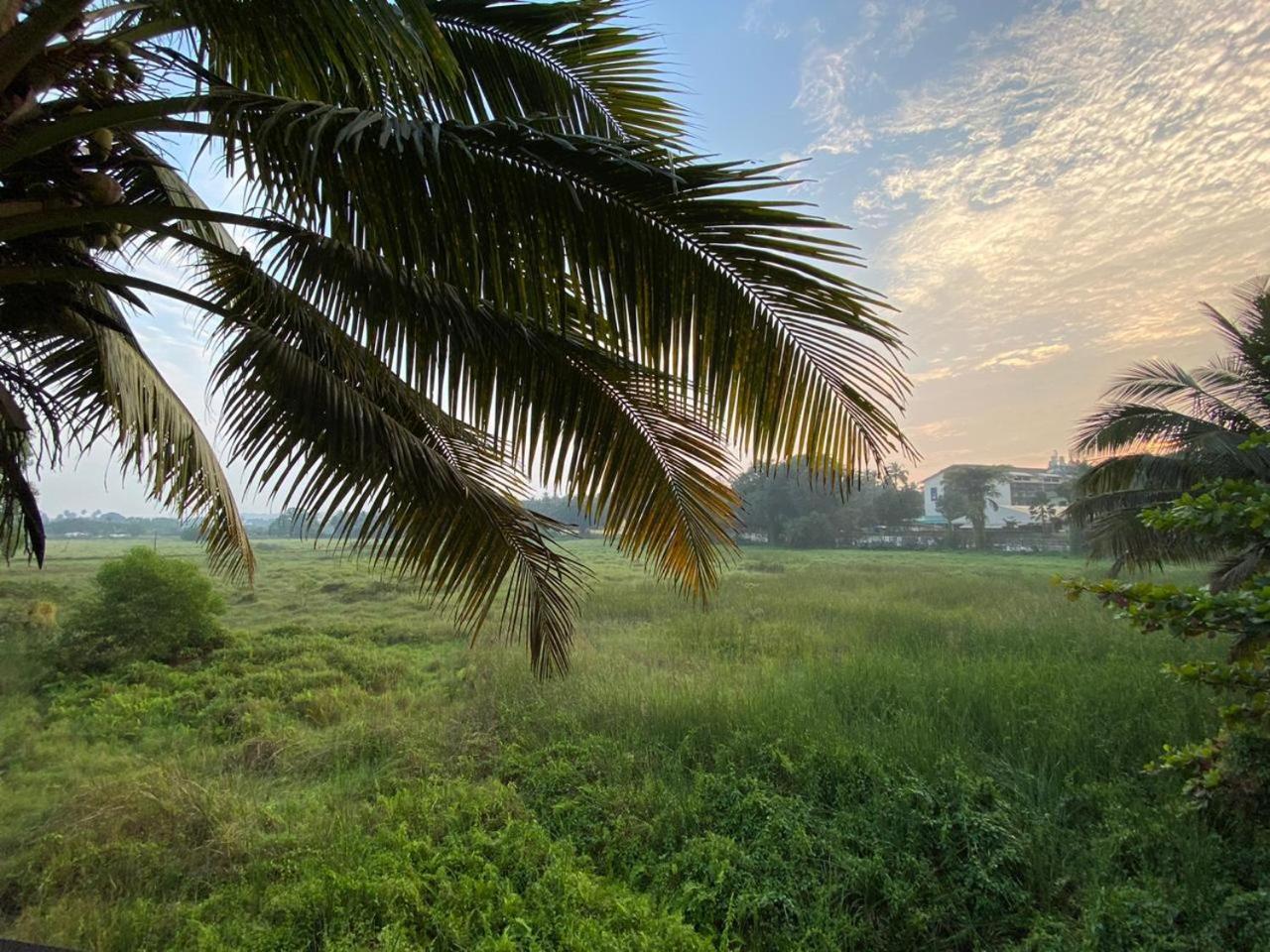 Hotel Green Field View Candolim Esterno foto