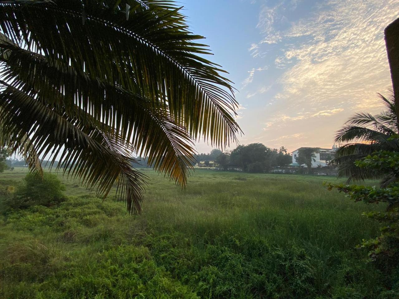 Hotel Green Field View Candolim Esterno foto